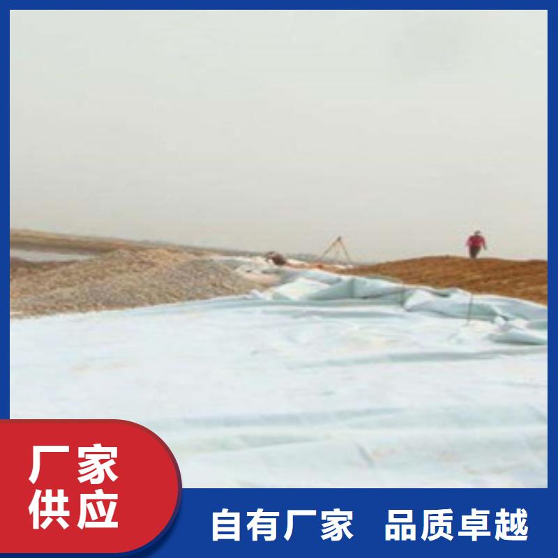 土工布钢塑土工格栅专业生产厂家