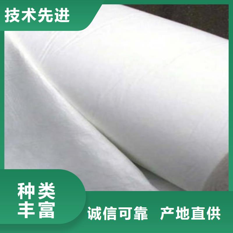 土工布膨润土防水毯多年经验值得信赖