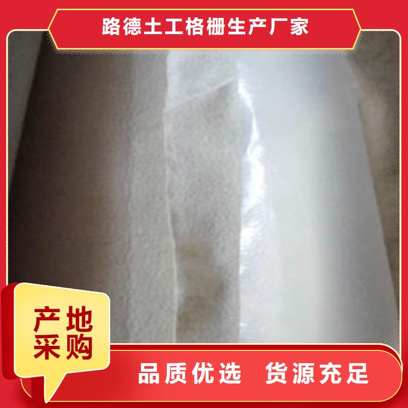 土工布塑料土工格栅现货销售