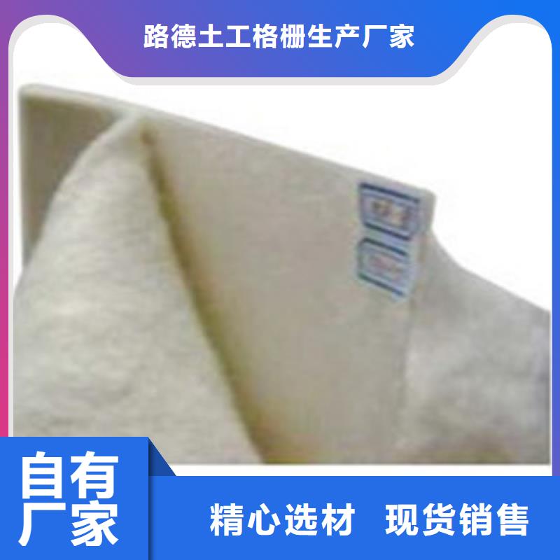 【土工布高强度土工网按需定做】