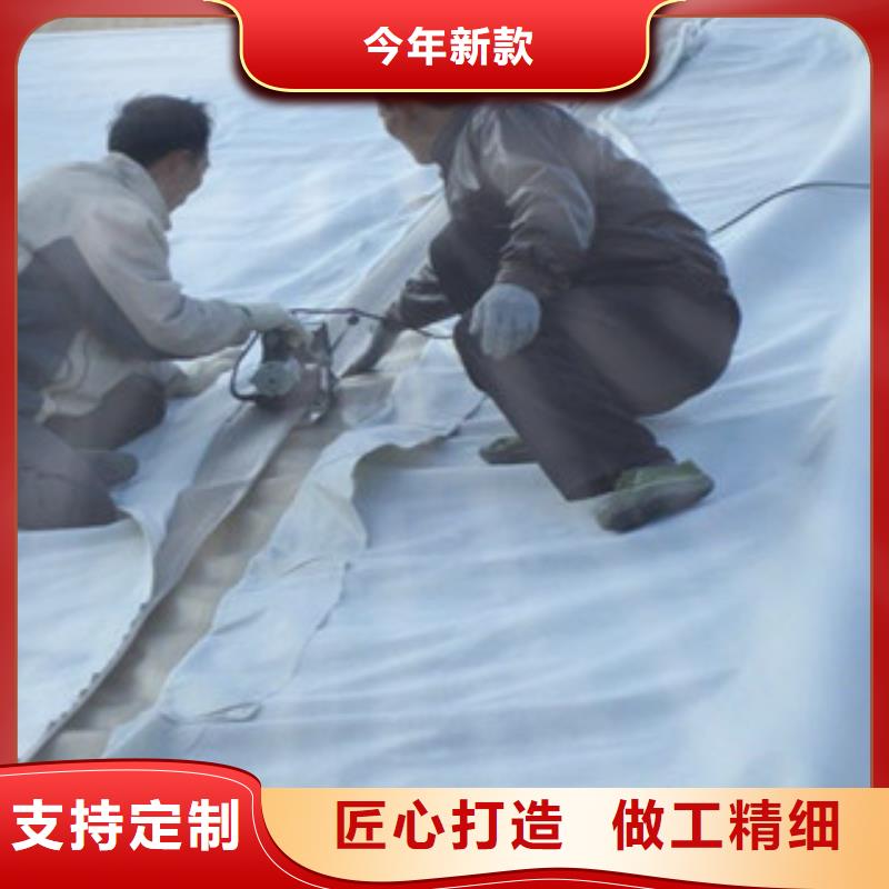 【土工布高强度土工网按需定做】