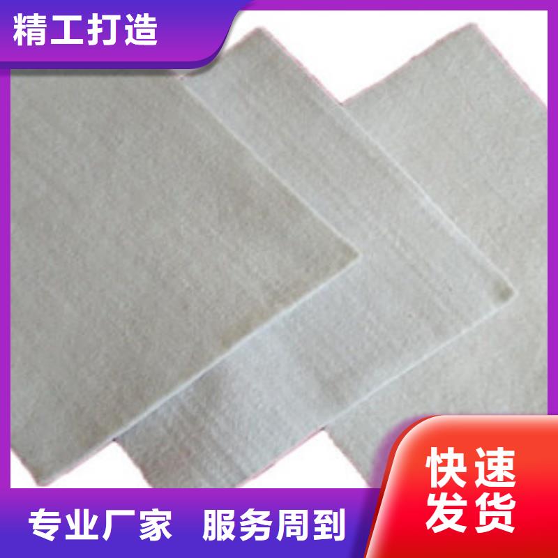 土工布玻纤土工格栅多种工艺