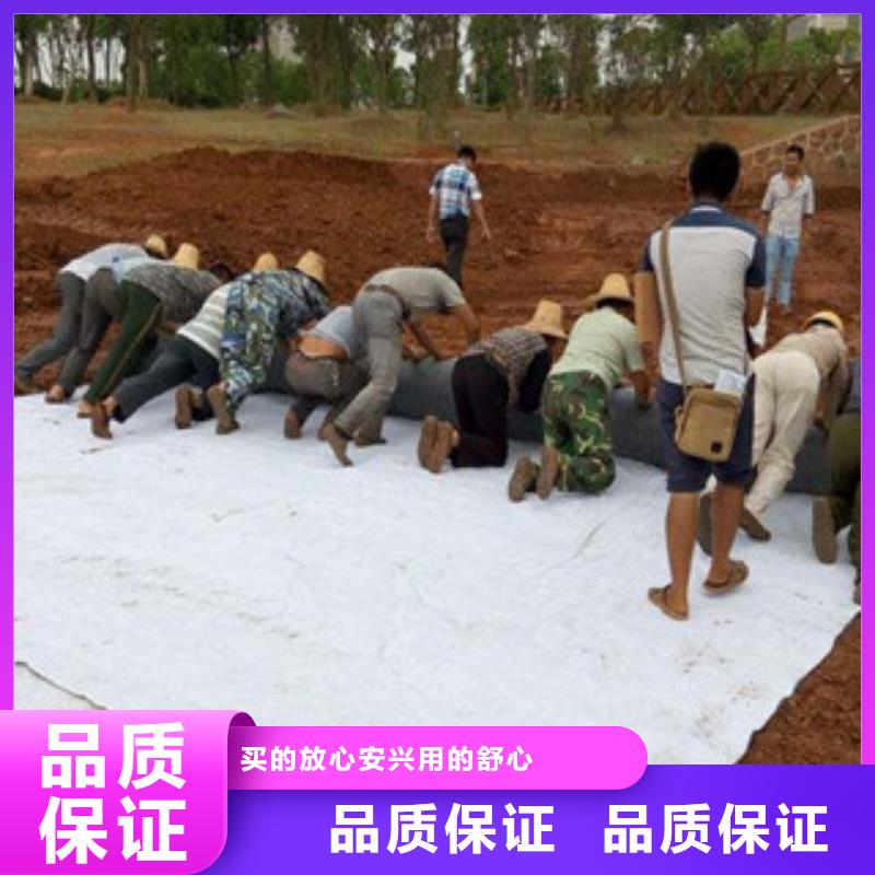 膨润土防水毯塑料土工格栅优选好材铸造好品质