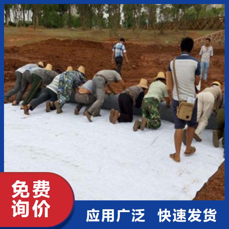 膨润土防水毯【塑料土工格栅】精工打造