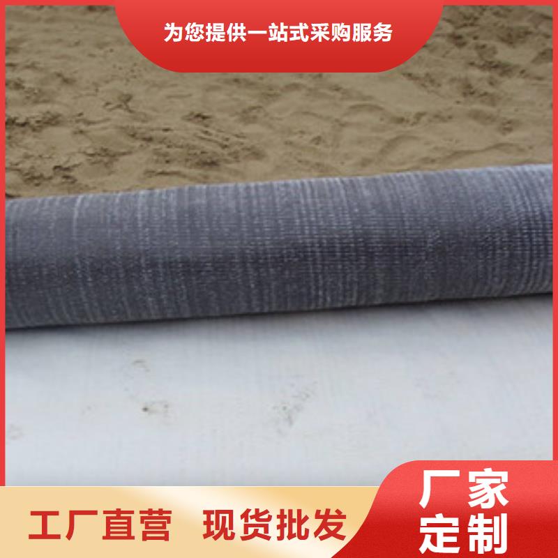 膨润土防水毯-钢塑土工格栅产地厂家直销