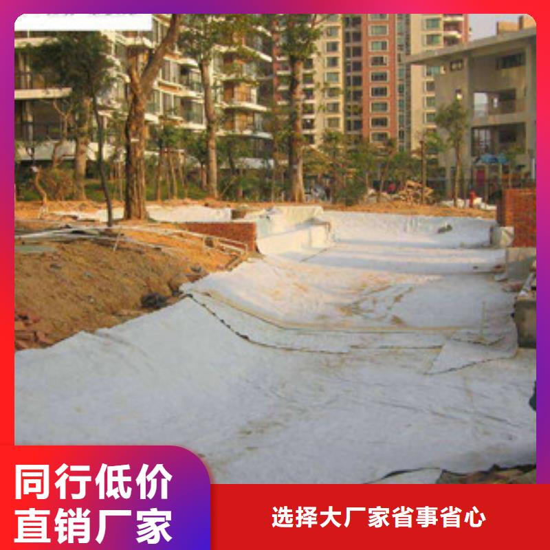 膨润土防水毯玻纤土工格栅本地配送