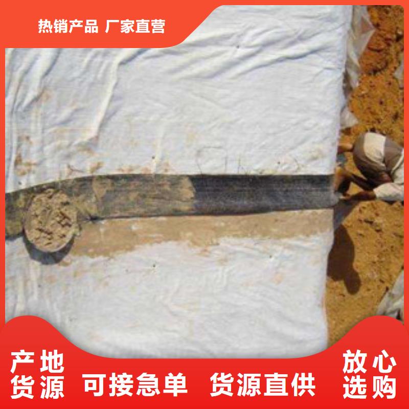 膨润土防水毯玻纤土工格栅现货齐全售后无忧