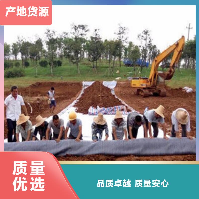 膨润土防水毯三维植被网保质保量