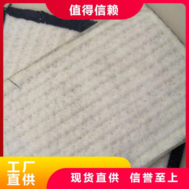 【膨润土防水毯】,高强度土工网品质优良