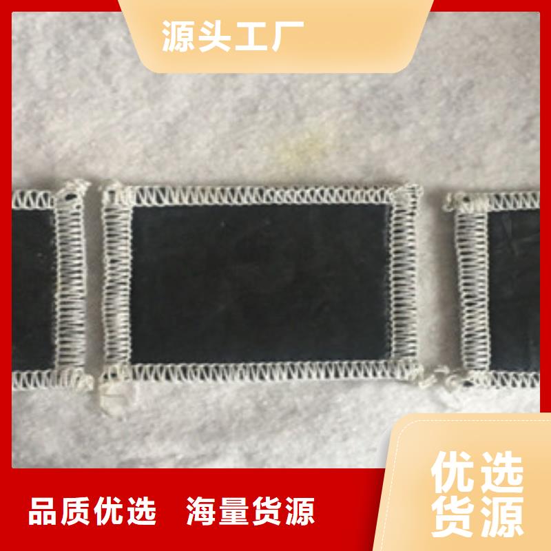 膨润土防水毯玻纤土工格栅现货齐全售后无忧
