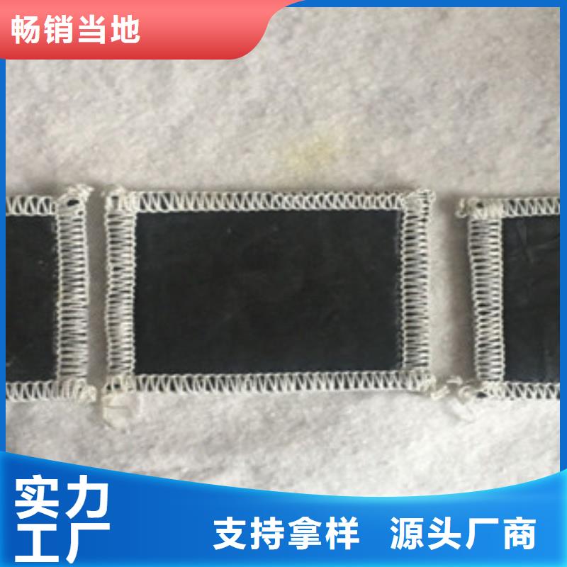 膨润土防水毯现货批发