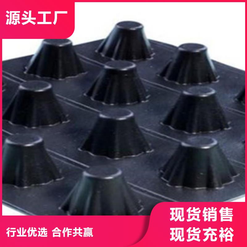 塑料排水板钢塑土工格栅信誉有保证