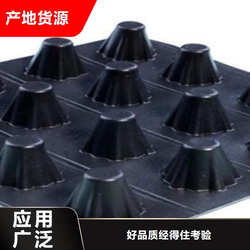 塑料排水板钢塑土工格栅精选厂家好货
