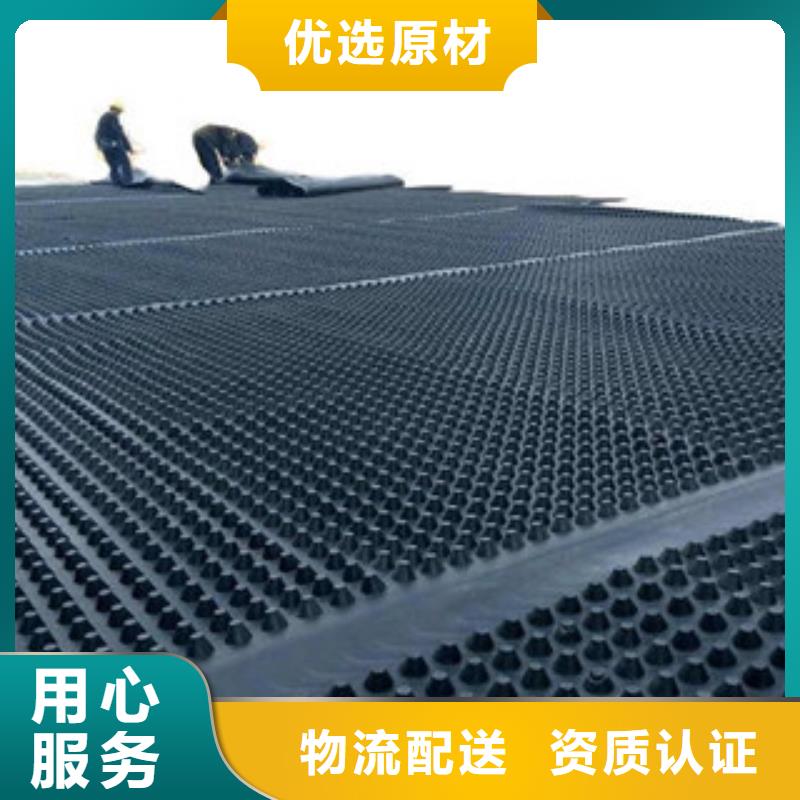 塑料排水板三维植被网您想要的我们都有