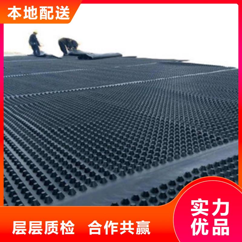 塑料排水板钢塑土工格栅厂家