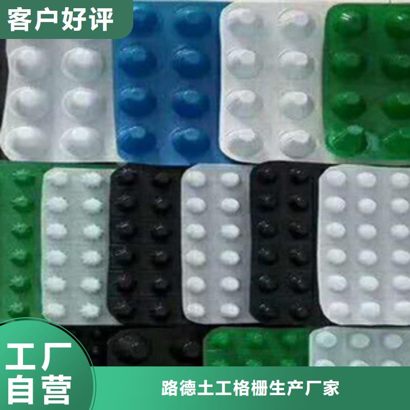 塑料排水板-复合土工布经验丰富品质可靠