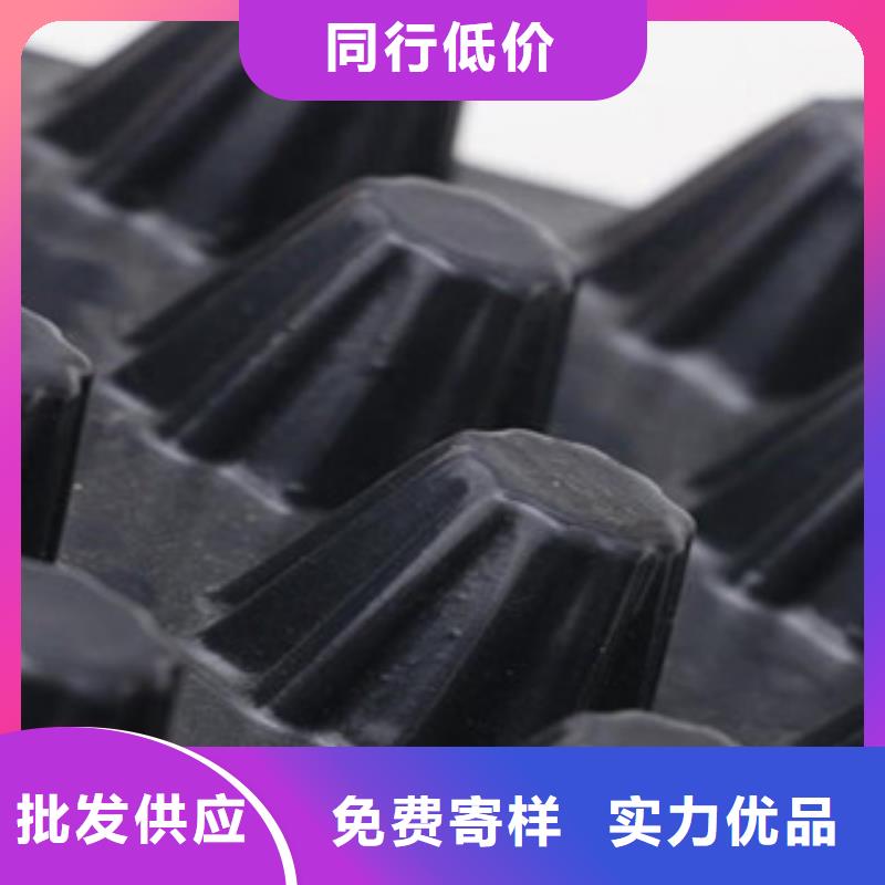 塑料排水板三维植被网一站式厂家