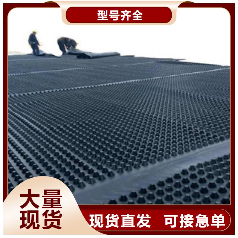 塑料排水板钢塑土工格栅信誉有保证