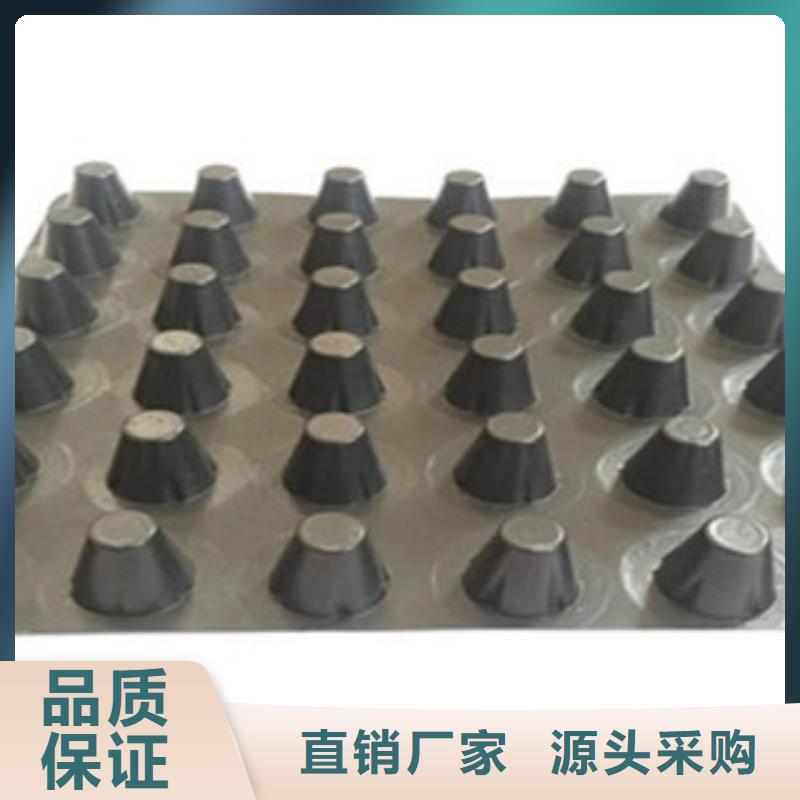 塑料排水板三维植被网供应商