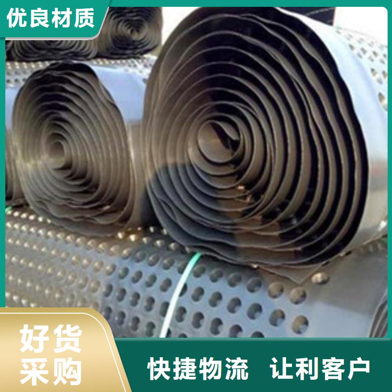 塑料排水板三维植被网供应商