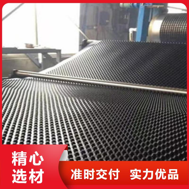 塑料排水板钢塑土工格栅厂家