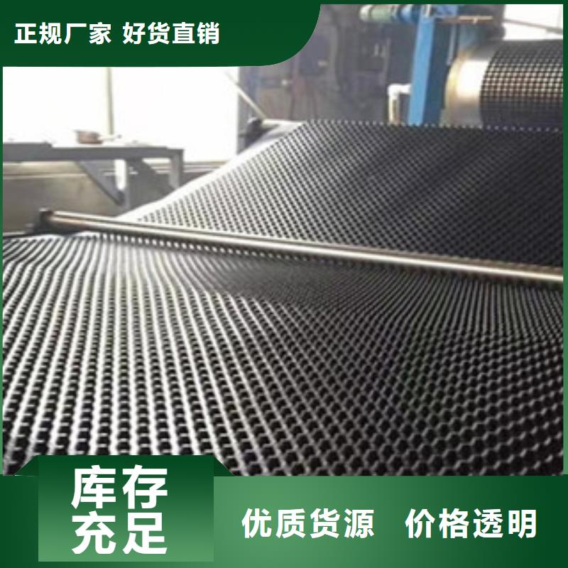 塑料排水板钢塑土工格栅厂家