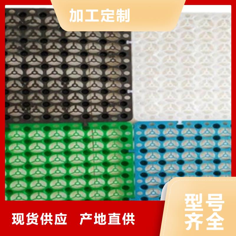 塑料排水板_三维植被网质量优价格低
