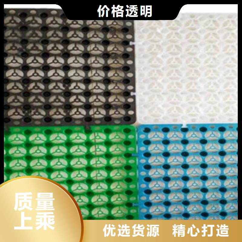 塑料排水板-塑料土工格栅贴心服务