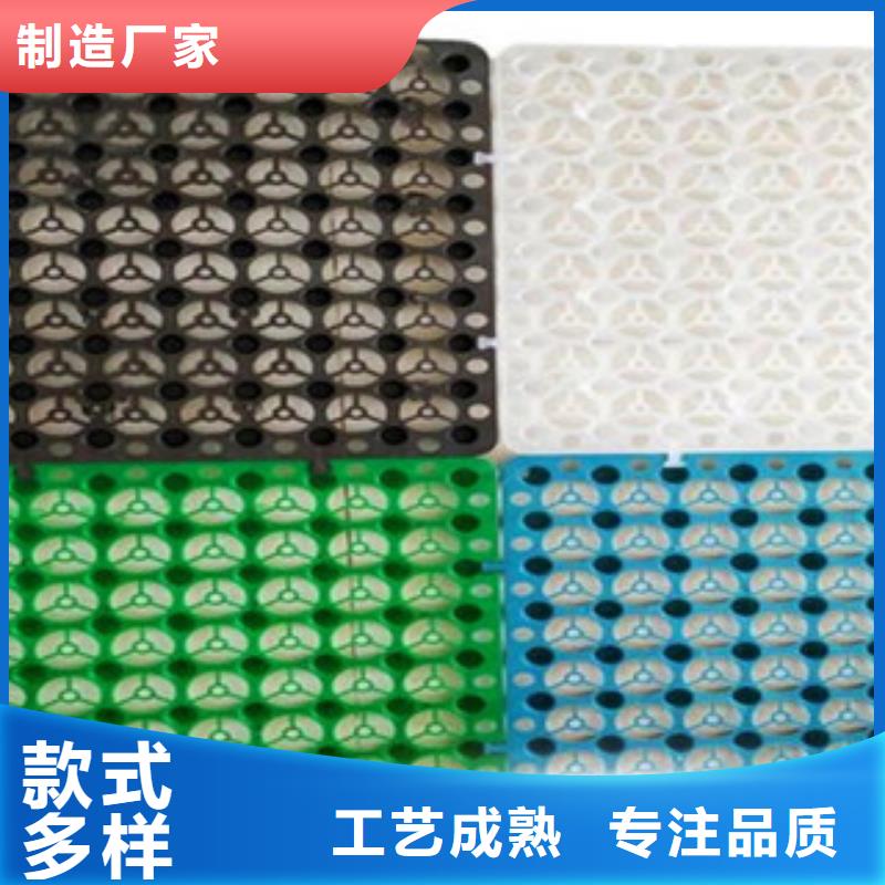 塑料排水板玻纤土工格栅通过检测