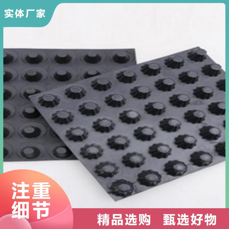塑料排水板玻纤土工格栅源头厂商