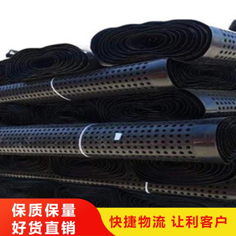 塑料排水板钢塑土工格栅精选厂家好货