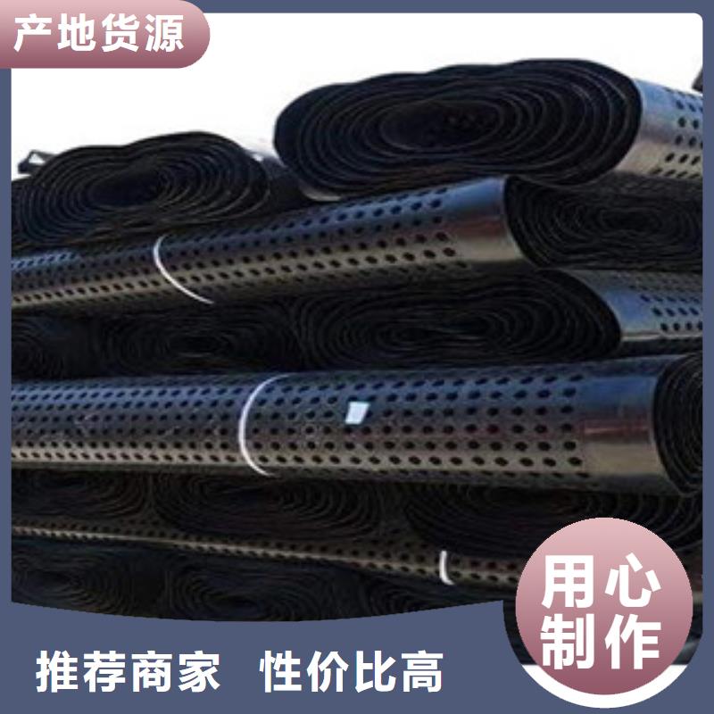 塑料排水板钢塑土工格栅信誉有保证