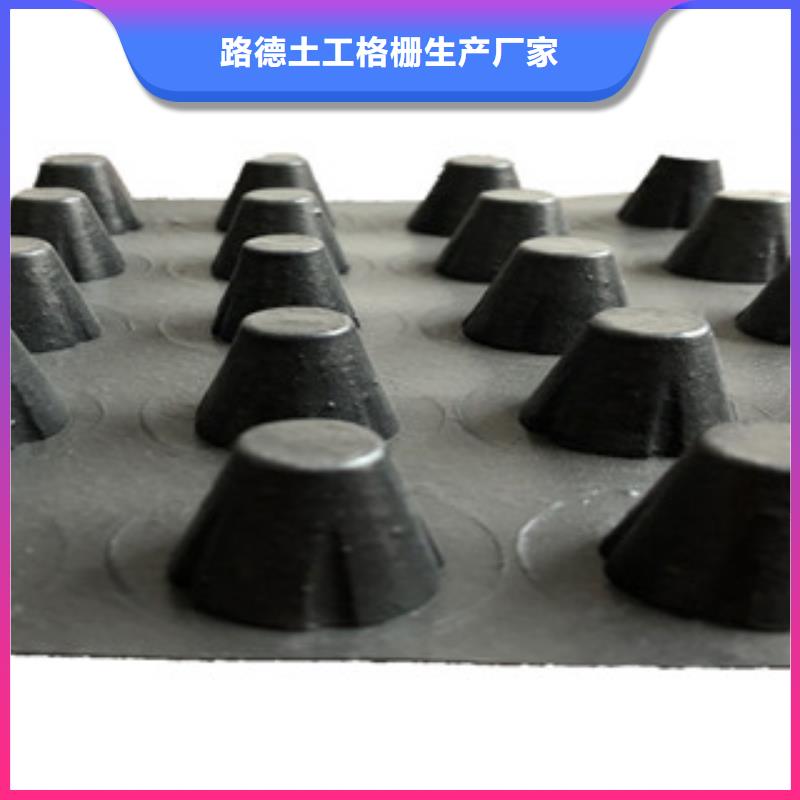 塑料排水板钢塑土工格栅厂家