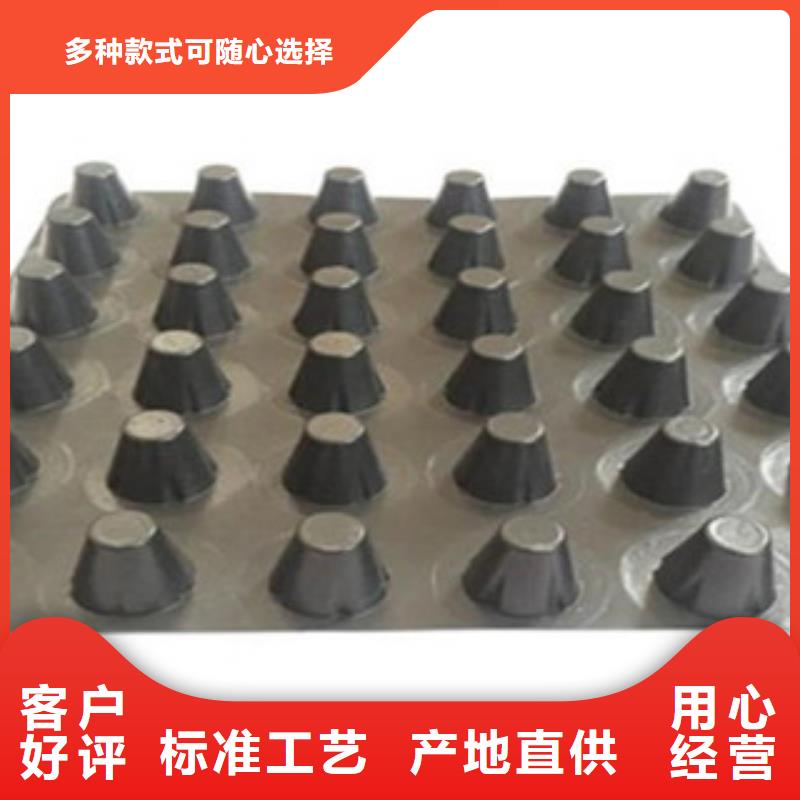 塑料排水板【钢塑土工格栅】服务周到