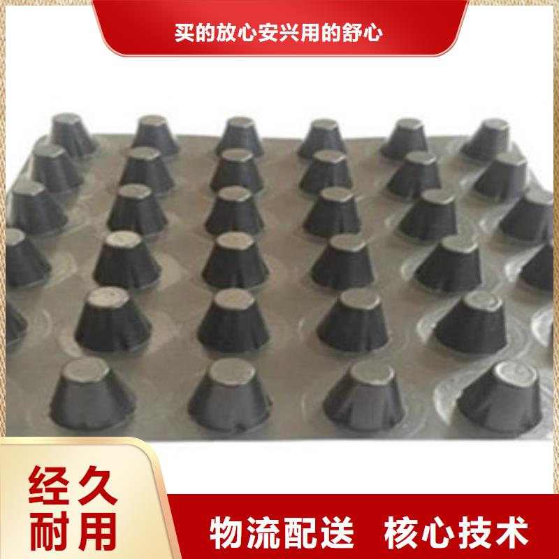 塑料排水板玻纤土工格栅库存齐全厂家直供