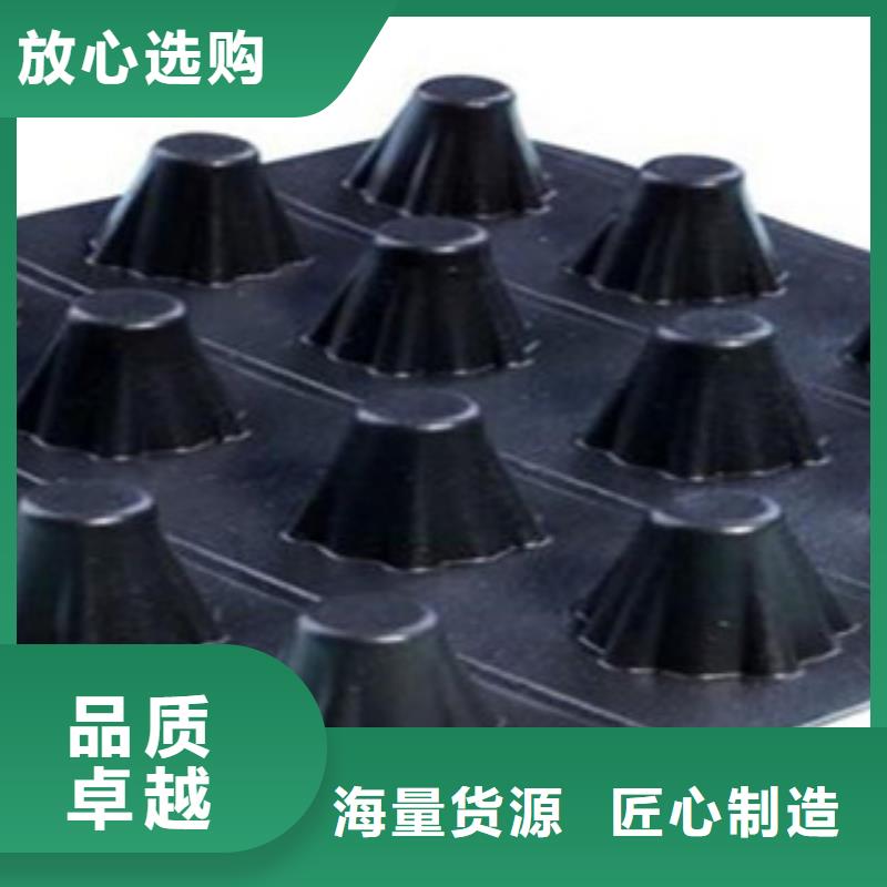 塑料排水板玻纤土工格栅库存齐全厂家直供