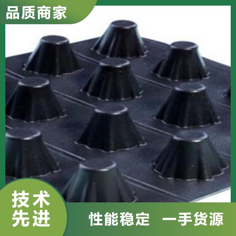 塑料排水板钢塑土工格栅精选厂家好货