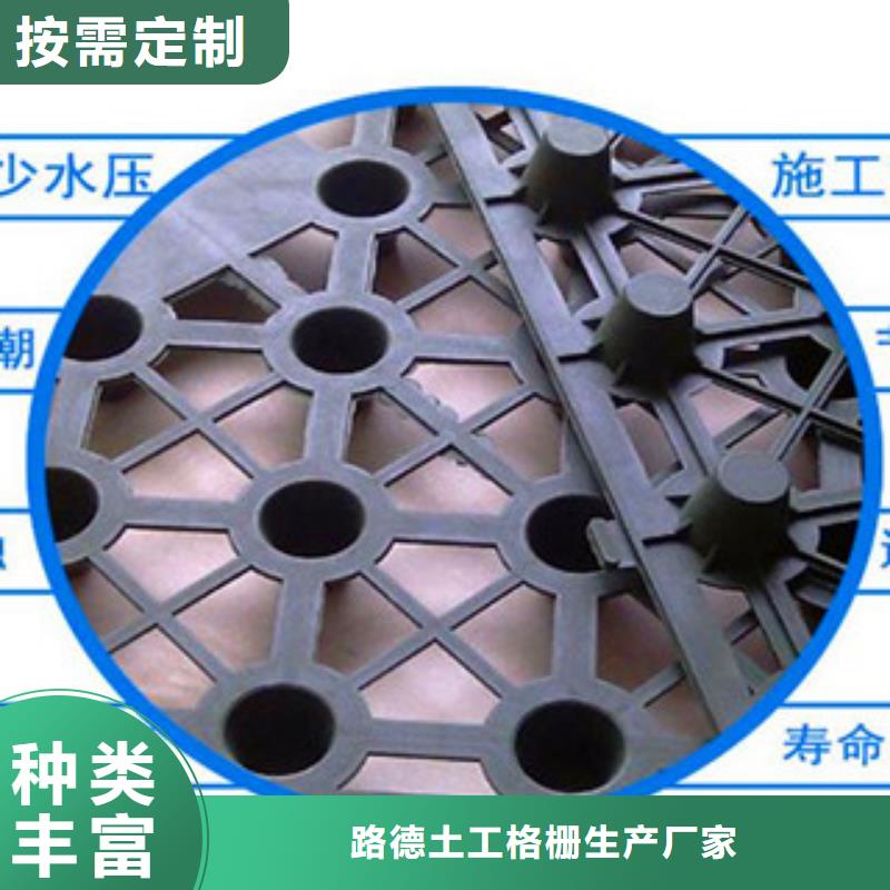 塑料排水板钢塑土工格栅信誉有保证