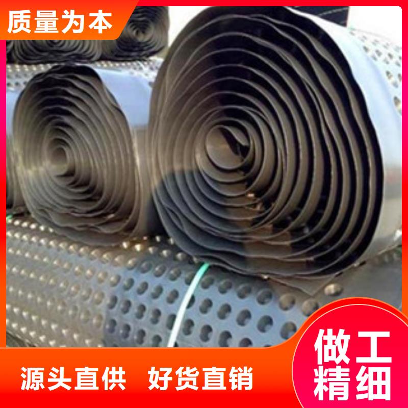 塑料排水板玻纤土工格栅源头厂商