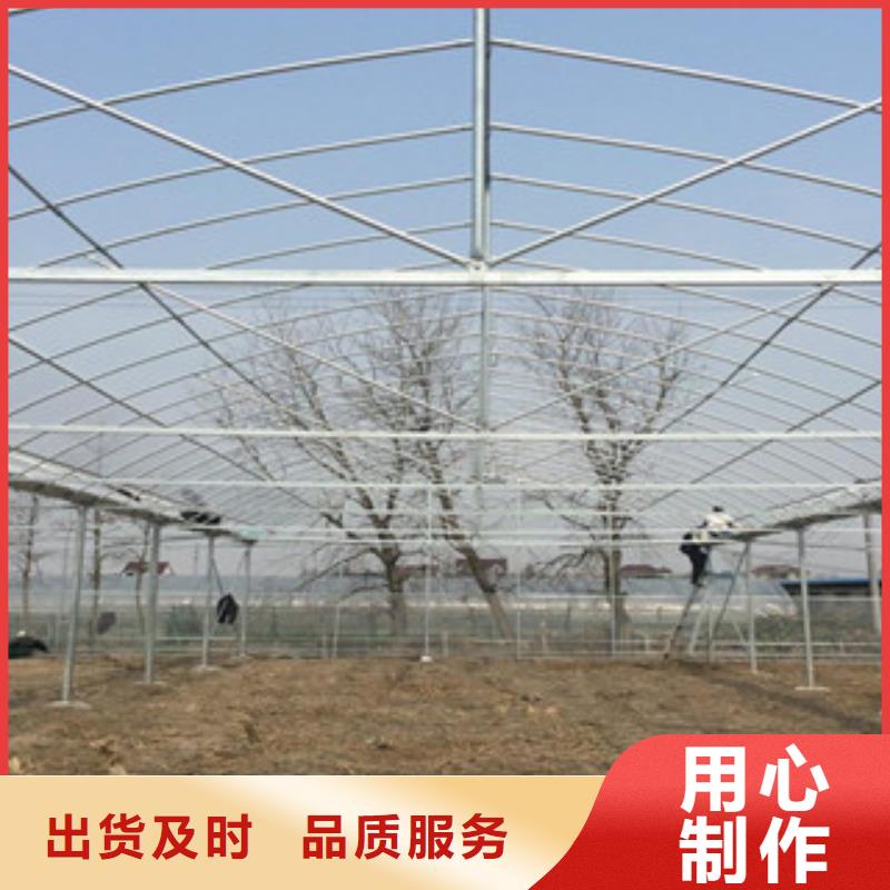 【大棚管】精密钢管工厂直营