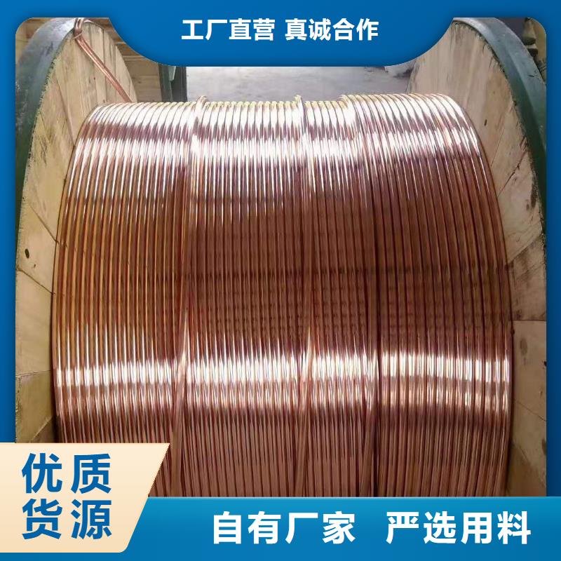 接地铜绞线TJ-50平方%换流站地沟一米批发