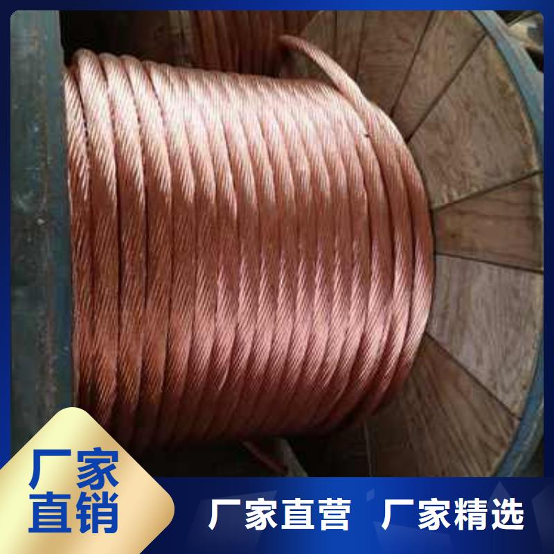 【TJX-630mm2铜绞线】变电站新建工程专用