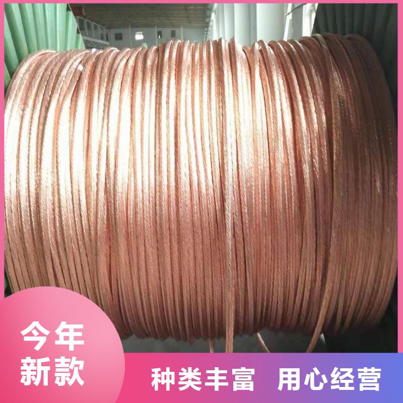 TJ-95平方镀锡铜绞线
