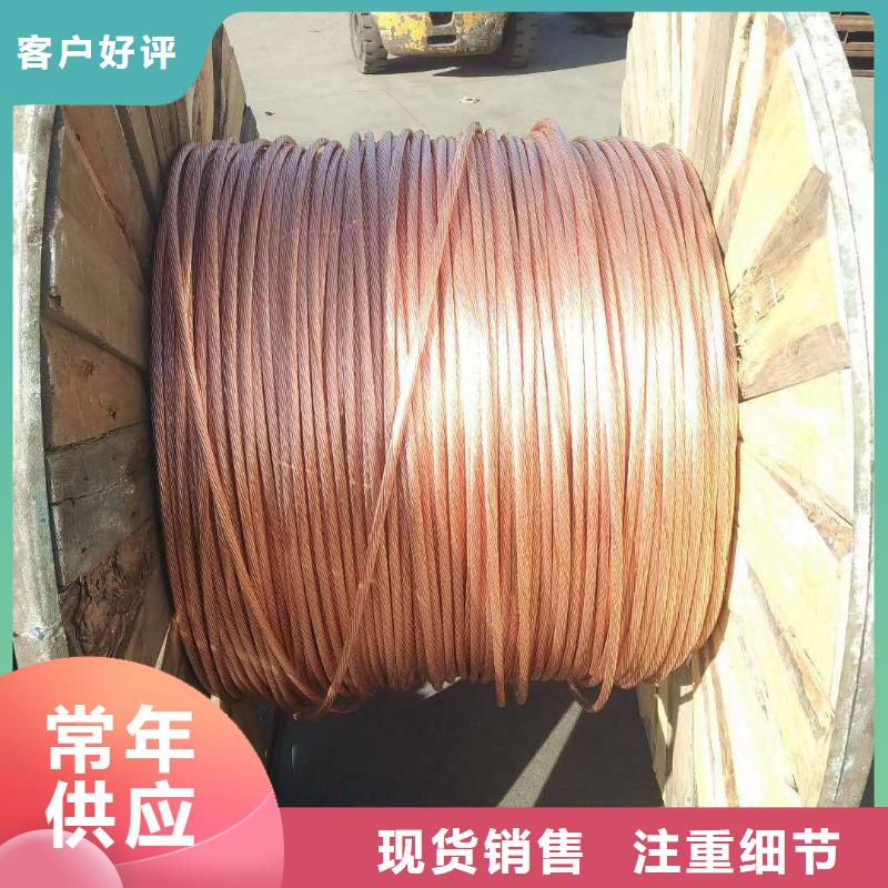 【TJ-250mm2镀锡铜绞线】产品外观美丽大方