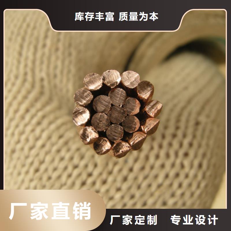 【TJX-300mm2镀锡铜绞线】产品外观美丽大方