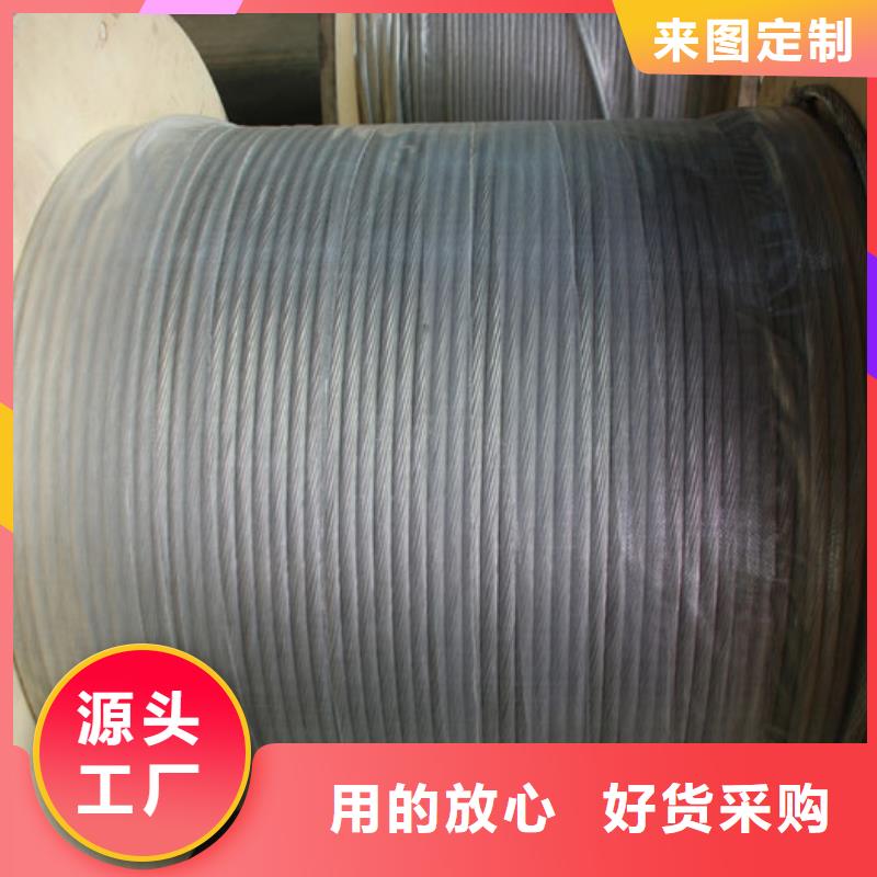 【TJX-630mm2镀锡铜绞线】产品外观美丽大方