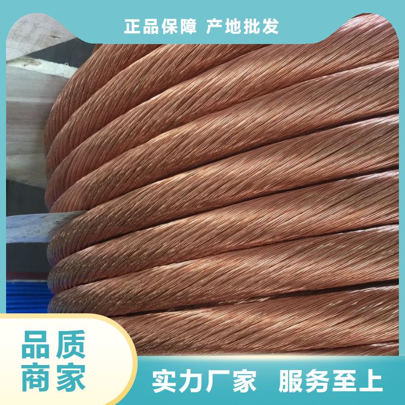 变电站接地镀锡铜绞线TJ-150mm2更多满减折扣!网购上,单单有惊喜!