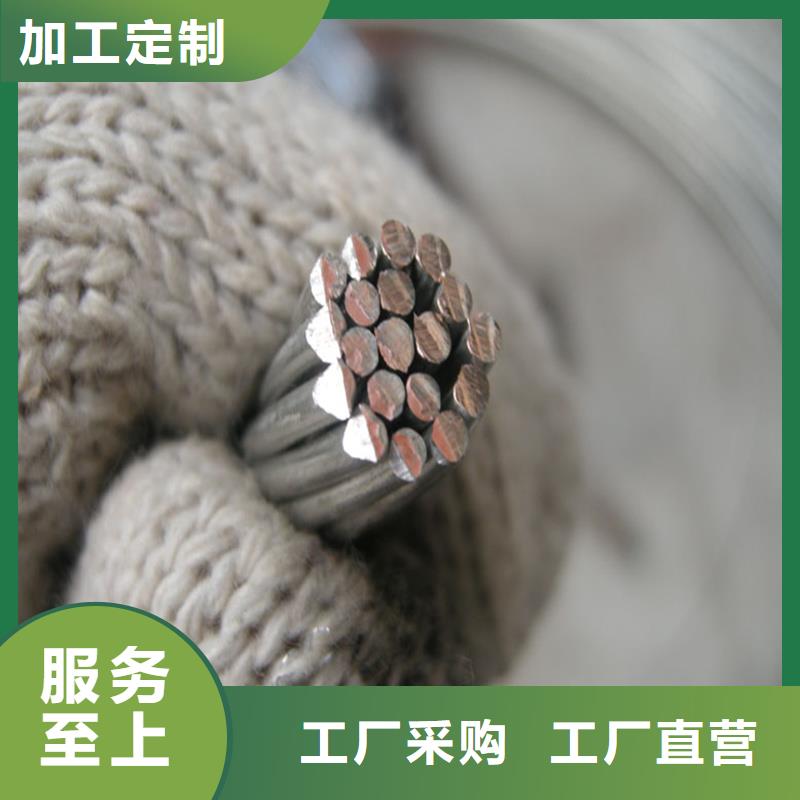 TJ-300mm2铜绞线/镀锡铜绞线//一米多少钱