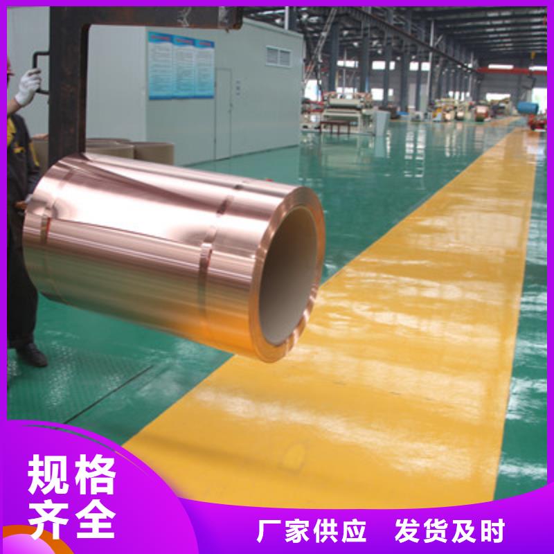 【接地铜带100*0.3】产品的详细参数、实时报价、行情走势、优质商品批发