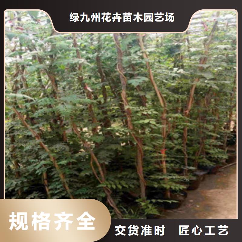 宿根花卉柳叶马鞭草/薰衣草每一处都是匠心制作